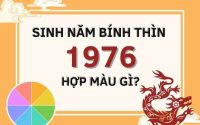 Tuổi bính thìn 1976 hợp xe màu gì? Ý nghĩa phong thủy