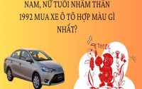 Giải đáp tuổi nhâm thân 1992 hợp với xe màu gì, kỵ màu gì?