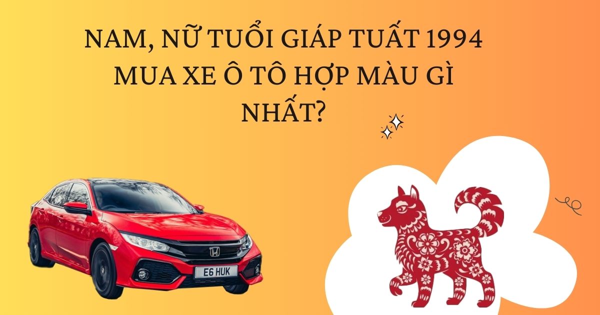 Nam, nữ tuổi Giáp Tuất 1994 mua xe màu gì tốt nhất?