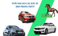 Tuổi ngọ 1990 hợp xe màu gì hút tài lộc, đón an lành