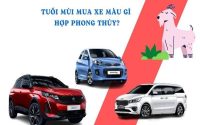 Tuổi tân mùi 1991 hợp xe màu gì đúng phong thủy đón lộc