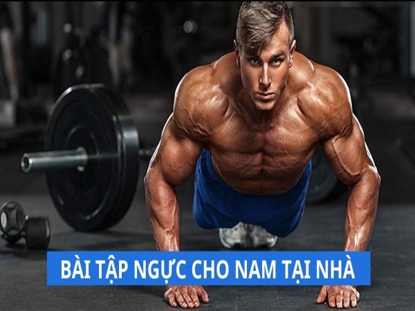 TOP các bài tập ngực cho nam tại nhà cơ ngực săn chắc