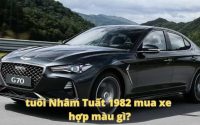 Với tuổi nhâm tuất 1982 mua xe hợp màu gì hút tài lộc