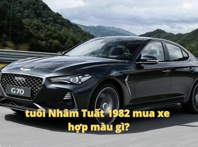 Với tuổi nhâm tuất 1982 mua xe hợp màu gì hút tài lộc