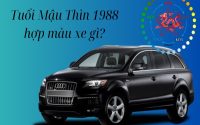 Tuổi mậu thìn 1988 hợp màu xe gì "thượng lộ bình an"